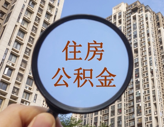 扶余退休后查不到公积金明细了吗（退休后公积金查询不到原因）